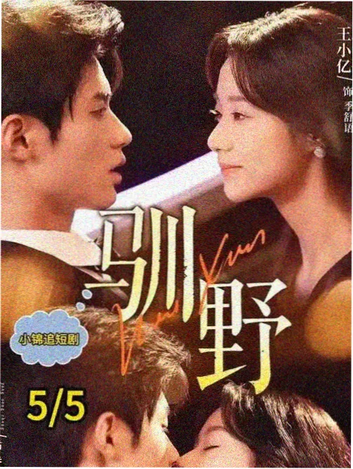 在线视频-长夜将尽高清封面